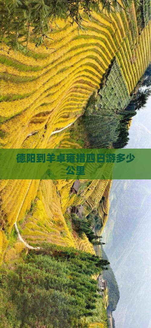 德阳到羊卓雍措四日游多少公里
