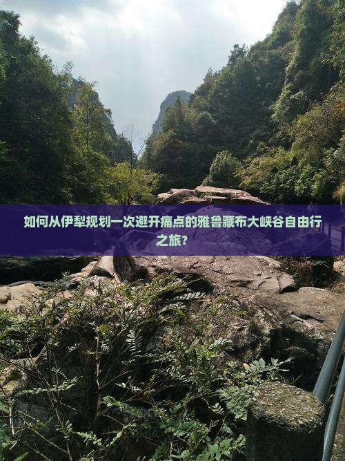 如何从伊犁规划一次避开痛点的雅鲁藏布大峡谷自由行之旅？