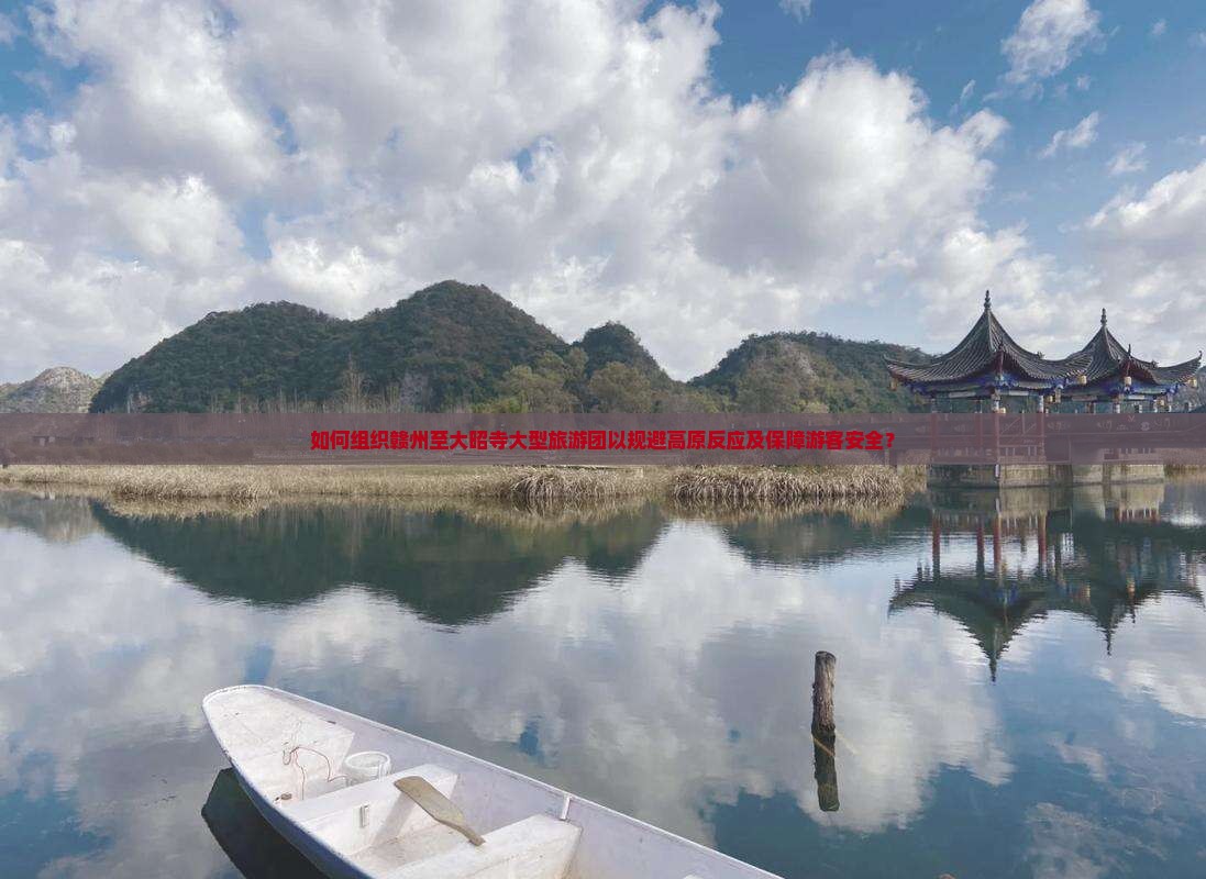 如何组织赣州至大昭寺大型旅游团以规避高原反应及保障游客安全？