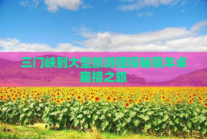 三门峡到大型旅游团探秘藏羊卓雍措之旅