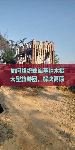 如何组织珠海至纳木措大型旅游团，解决高原适应难题与享受美景双赢策略？