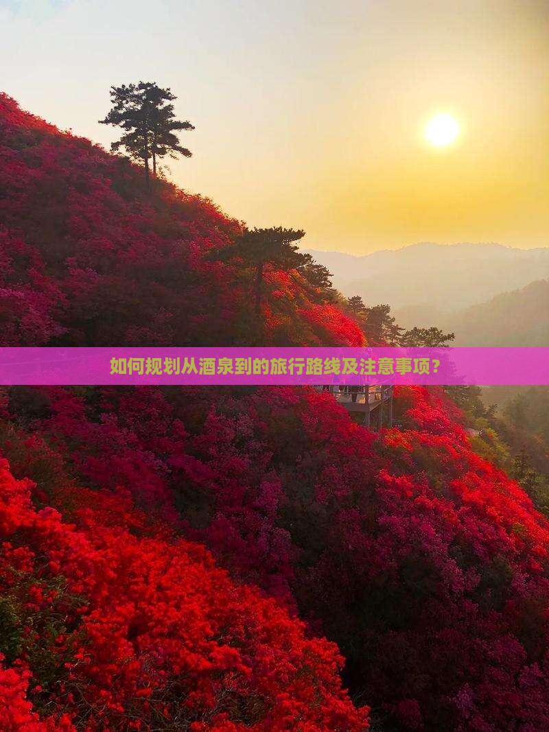 如何规划从酒泉到的旅行路线及注意事项？