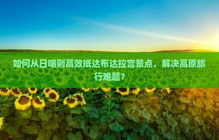 如何从日喀则高效抵达布达拉宫景点，解决高原旅行难题？