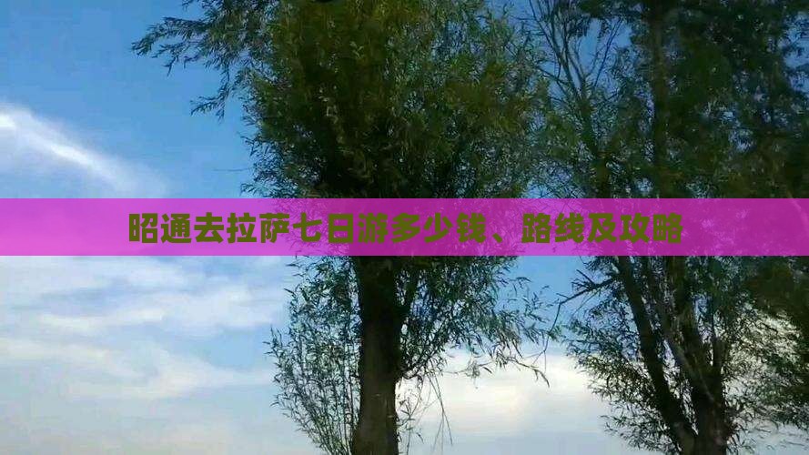 昭通去拉萨七日游多少钱、路线及攻略