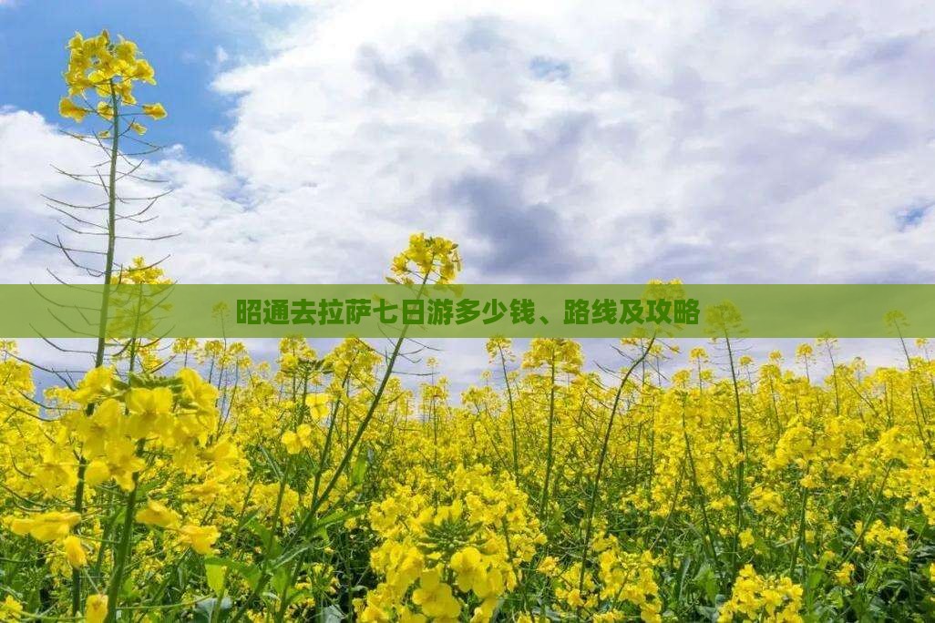 昭通去拉萨七日游多少钱、路线及攻略