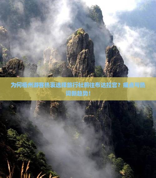 为何梧州游客热衷选择旅行社前往布达拉宫？痛点与热词新趋势！