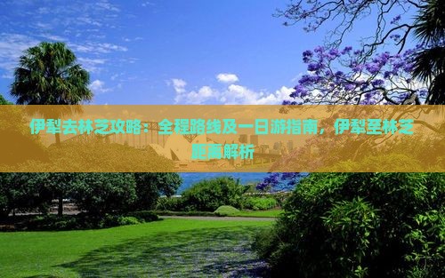 伊犁去林芝攻略：全程路线及一日游指南，伊犁至林芝距离解析