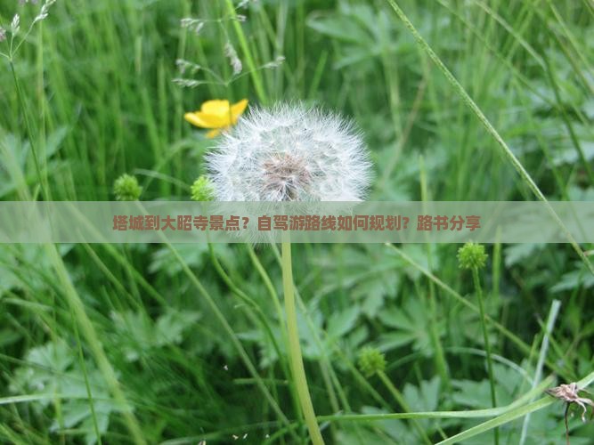 塔城到大昭寺景点？自驾游路线如何规划？路书分享