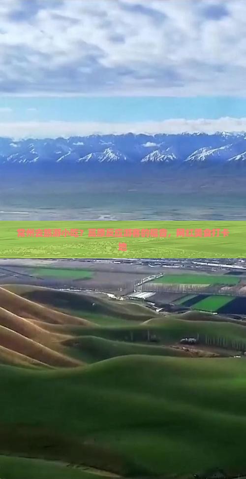 常州去旅游小吃？高原反应游客的福音，网红美食打卡地