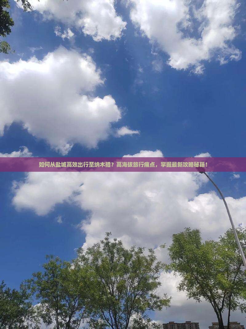 如何从盐城高效出行至纳木措？高海拔旅行痛点，掌握最新攻略秘籍！