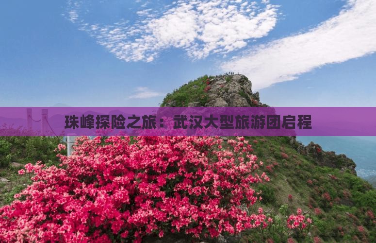 珠峰探险之旅：武汉大型旅游团启程