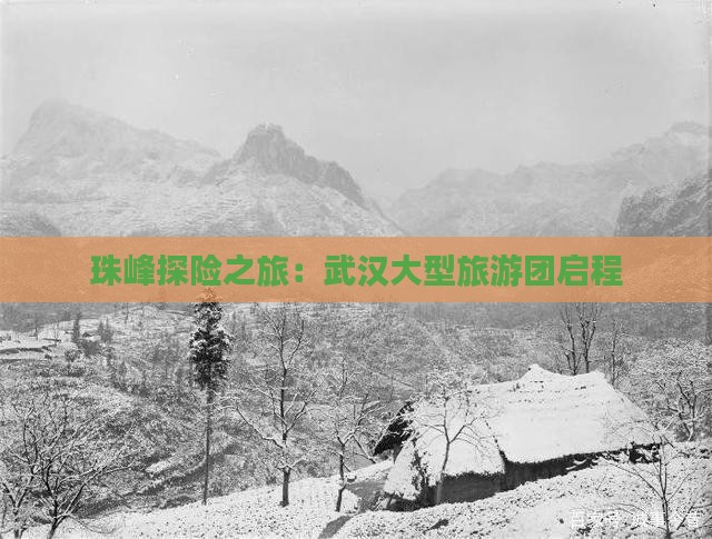 珠峰探险之旅：武汉大型旅游团启程