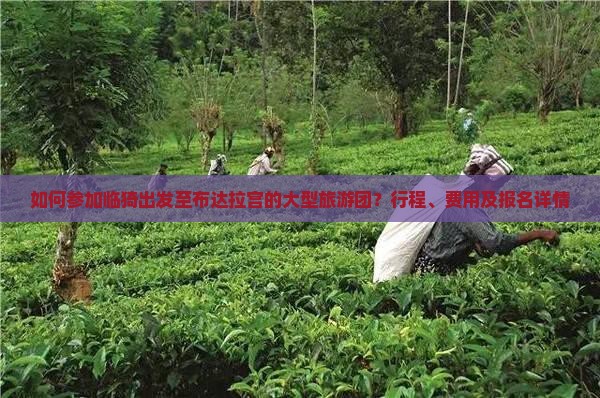 如何参加临猗出发至布达拉宫的大型旅游团？行程、费用及报名详情