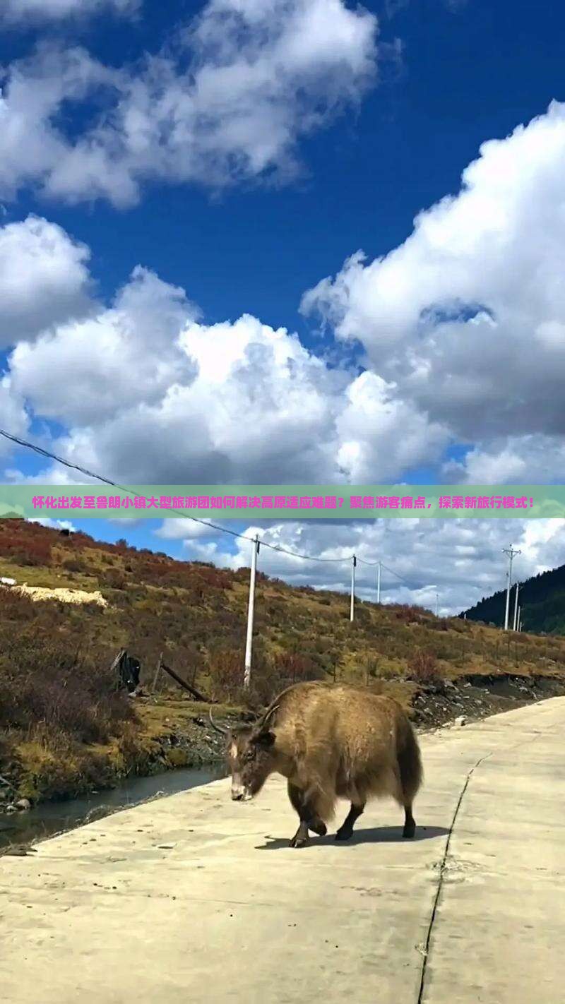 怀化出发至鲁朗小镇大型旅游团如何解决高原适应难题？聚焦游客痛点，探索新旅行模式！