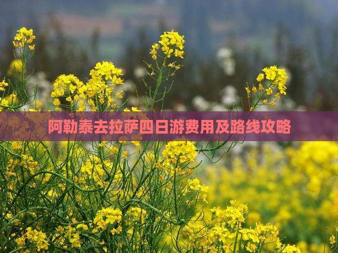阿勒泰去拉萨四日游费用及路线攻略