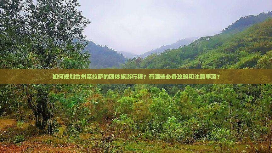 如何规划台州至拉萨的团体旅游行程？有哪些必备攻略和注意事项？