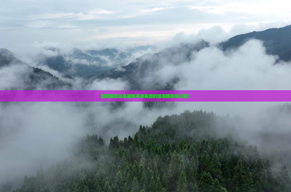 如何规划从张掖到羊卓雍措的旅游路线与行程？