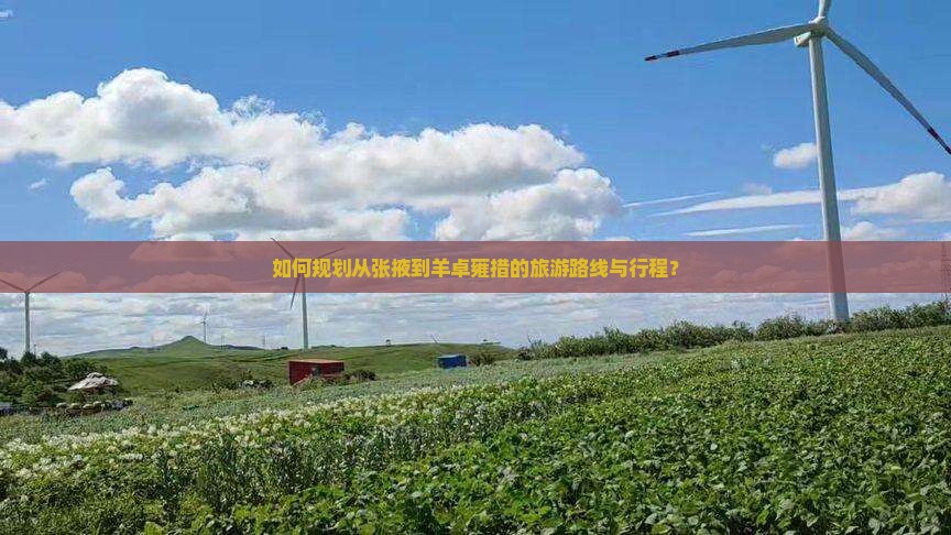 如何规划从张掖到羊卓雍措的旅游路线与行程？