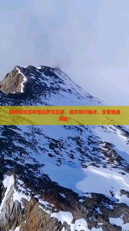 如何规划玉树至拉萨五日游，避开旅行痛点，享受地道风情？
