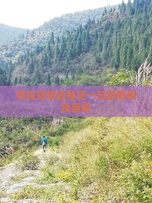克拉玛依去林芝一日游费用及距离