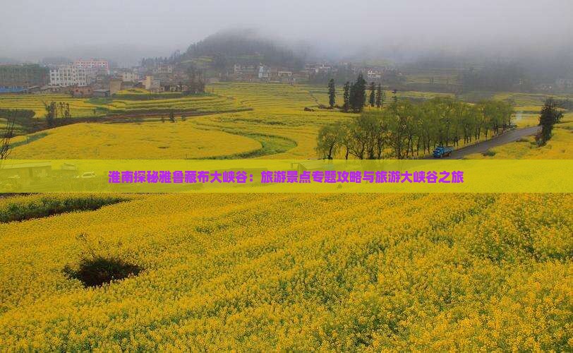 淮南探秘雅鲁藏布大峡谷：旅游景点专题攻略与旅游大峡谷之旅