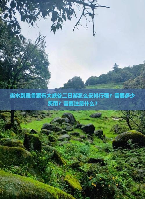 衡水到雅鲁藏布大峡谷二日游怎么安排行程？需要多少费用？需要注意什么？