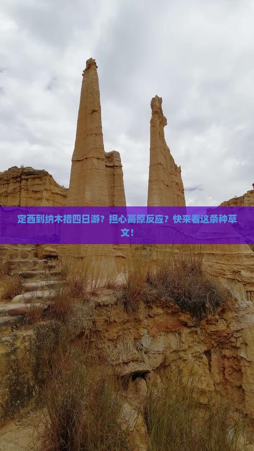 定西到纳木措四日游？担心高原反应？快来看这条种草文！