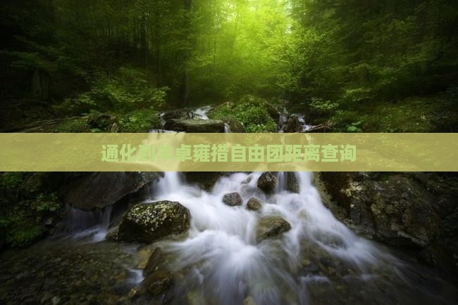 通化到羊卓雍措自由团距离查询