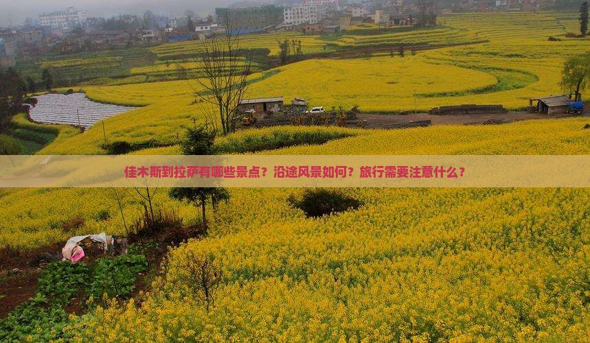 佳木斯到拉萨有哪些景点？沿途风景如何？旅行需要注意什么？