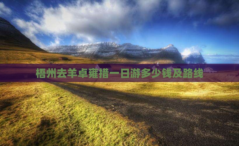梧州去羊卓雍措一日游多少钱及路线
