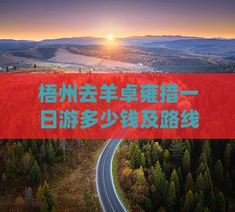 梧州去羊卓雍措一日游多少钱及路线