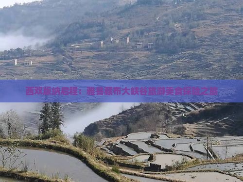 西双版纳启程：雅鲁藏布大峡谷旅游美食探险之旅