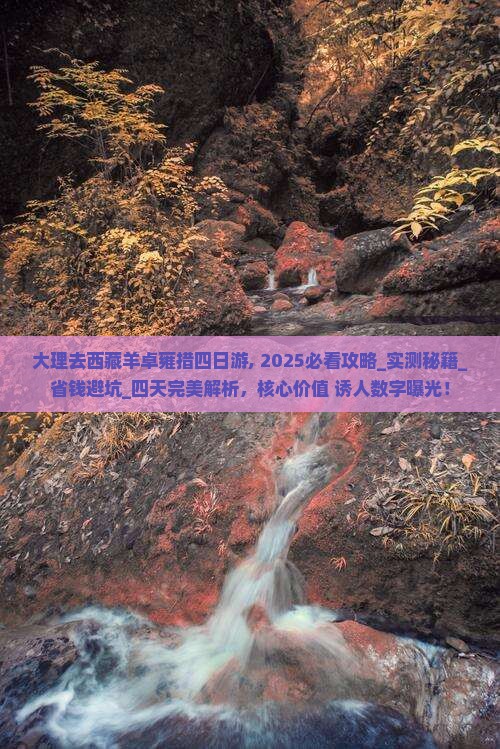 大理去西藏羊卓雍措四日游