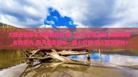 大理去西藏羊卓雍措四日游