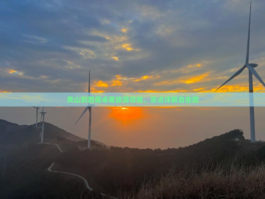 黄山到西藏羊卓雍措自由团