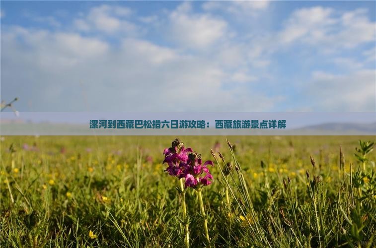 漯河到西藏巴松措六日游