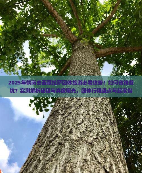 鹤岗去西藏拉萨团体旅游