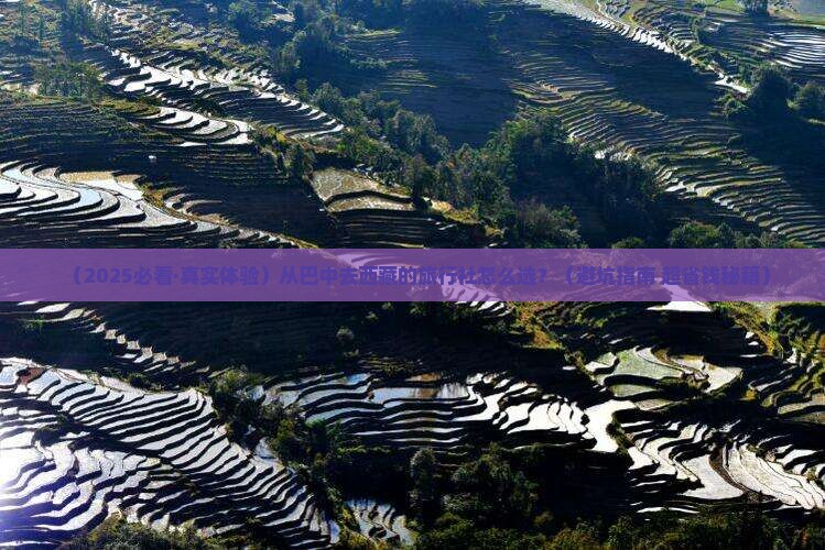 巴中到西藏旅行社