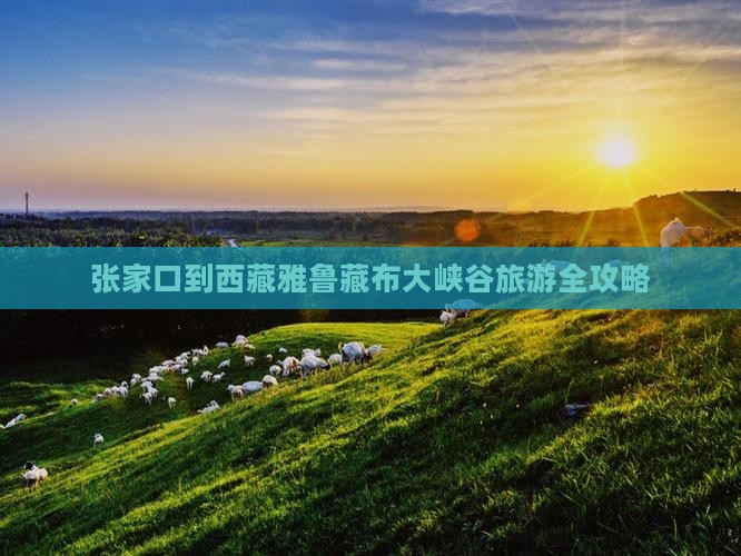 张家口到西藏雅鲁藏布大峡谷旅游 张家口到西藏雅鲁藏布大峡谷旅游