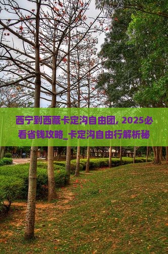 西宁到西藏卡定沟自由团