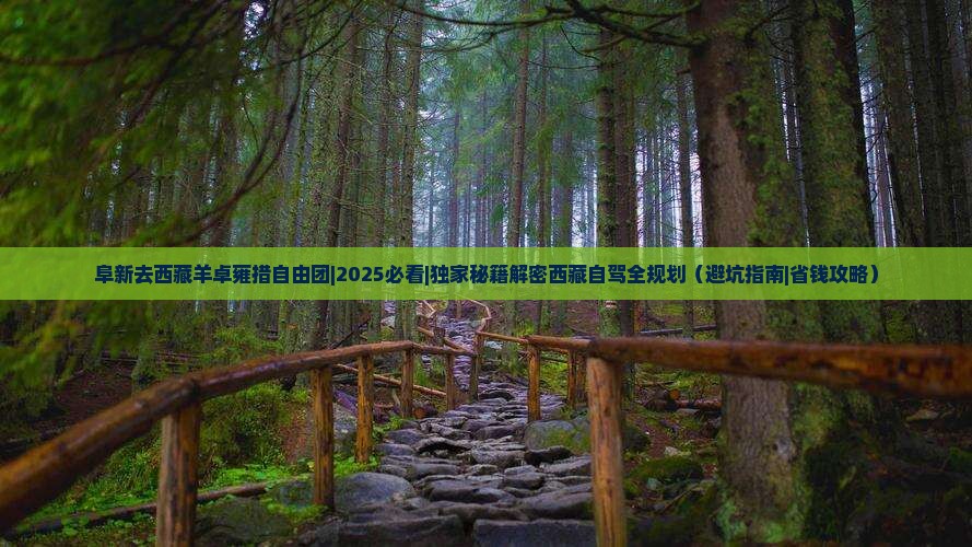 阜新去西藏羊卓雍措自由团