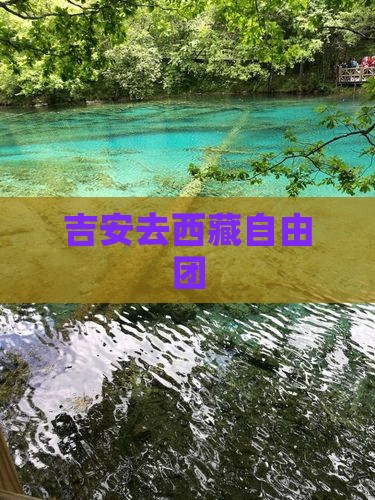 吉安去西藏自由团