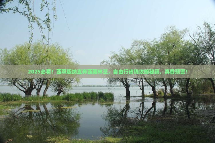 西双版纳去西藏林芝自由行