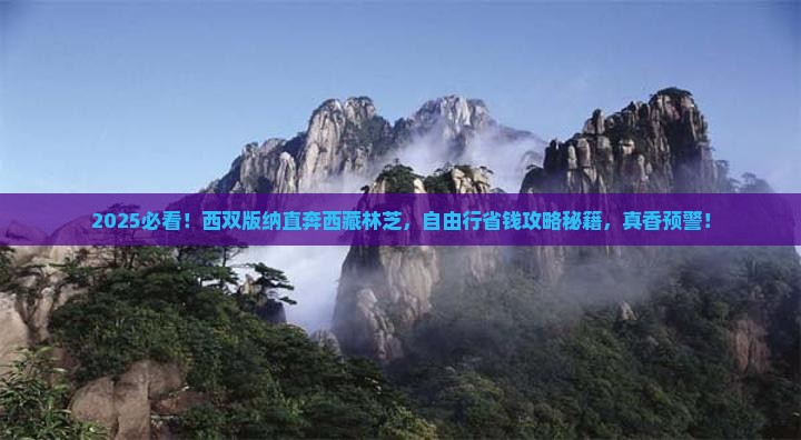 西双版纳去西藏林芝自由行
