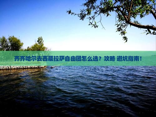 齐齐哈尔去西藏拉萨自由团