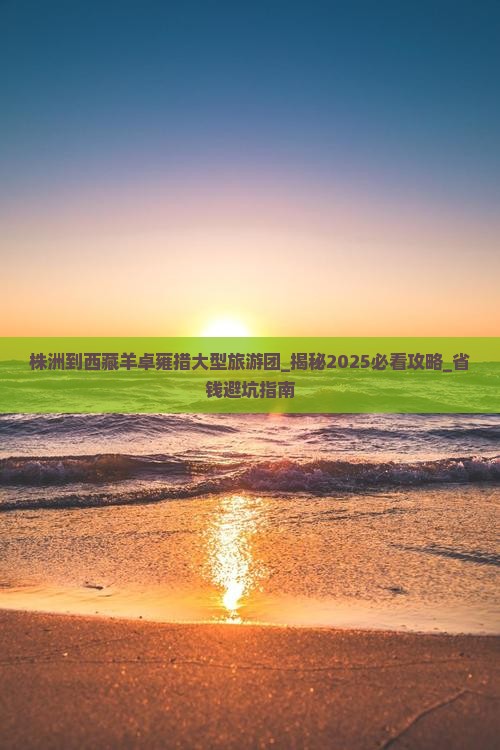 株洲到西藏羊卓雍措大型旅游团