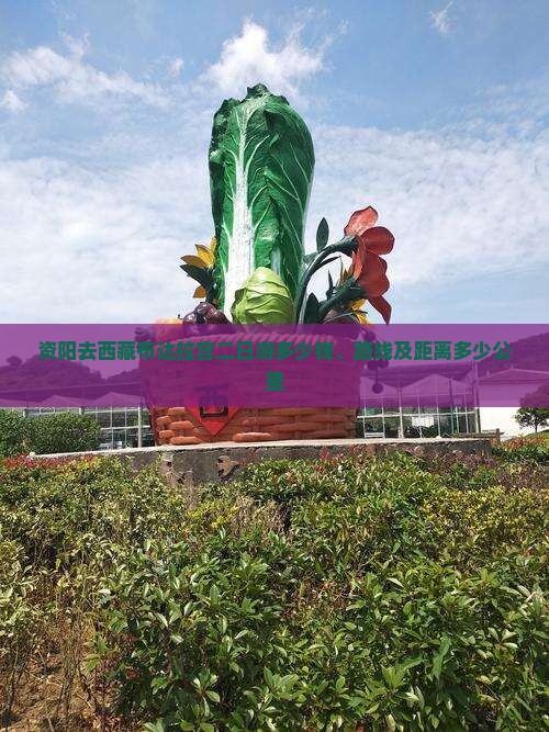 资阳去西藏布达拉宫二日游