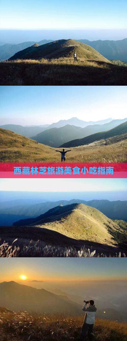 果洛去西藏林芝旅游小吃