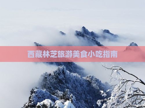 果洛去西藏林芝旅游小吃