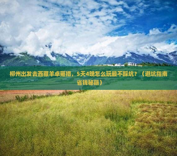 柳州去西藏羊卓雍措团体旅游